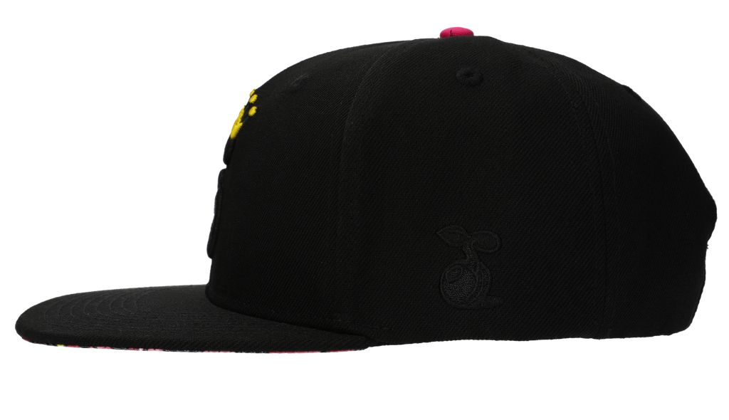 No Till Kings x Seedless Clothing Hat