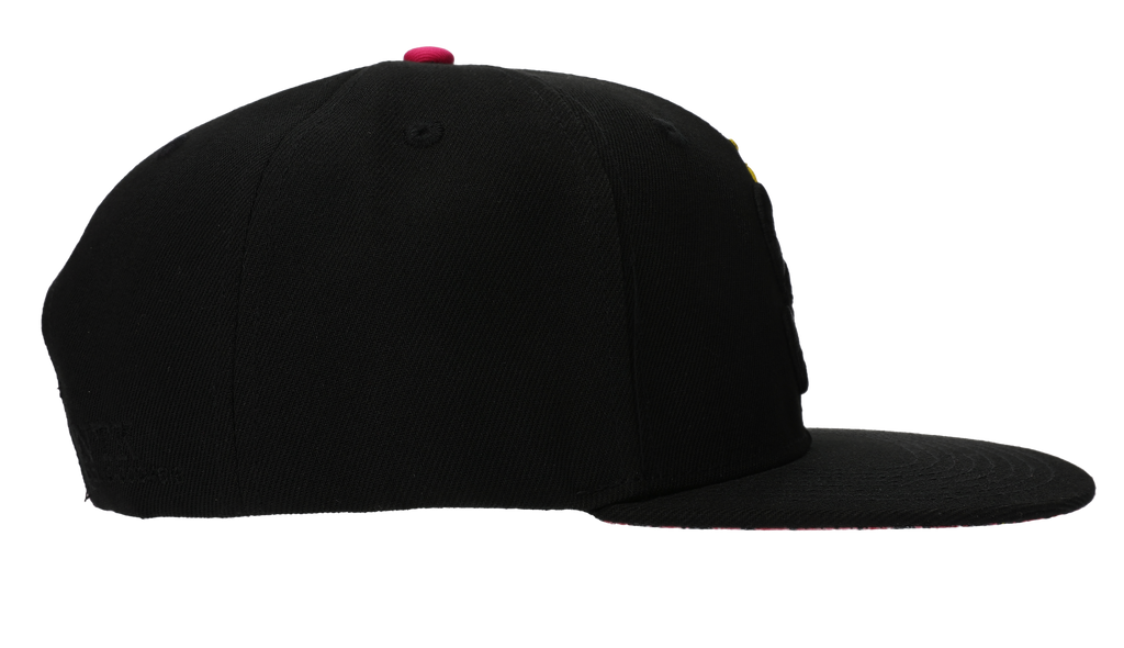 No Till Kings x Seedless Clothing Hat